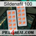 Sildenafil 100 27